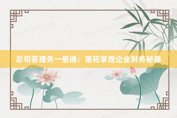 总司答理务一册通：落拓掌捏企业财务秘籍